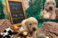 Heath-week3