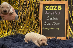 Skittles-week1