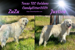 candylitter2024-announce-800-450