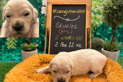 skittles-week-2