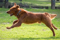 DSC_0116-3-1054x703-1