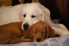 Dexter and Emma