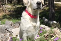 Emma - One Year Old