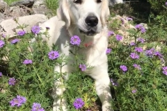 Emma - One Year Old