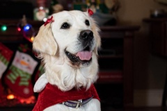 Emma - 12/2019