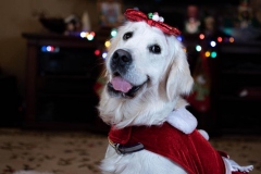 Emma - 12/2019