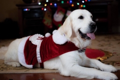Emma - 12/2019