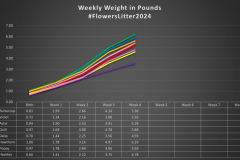 Weight-chart-Week-4