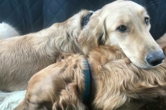Harley and River