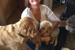 Picking up the pups!