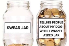 54213630_2208440362803966_9171201588801306624_n