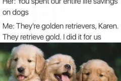 58612957_440126393417447_7822726701334396928_n