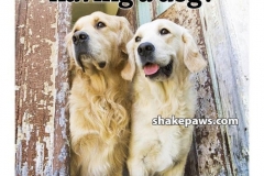 60420810_678860592534720_8373257735344488448_n