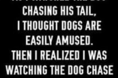 60800503_683357842084995_7180433003850498048_n