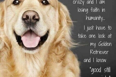 60873563_685330341887745_2397925501722165248_n