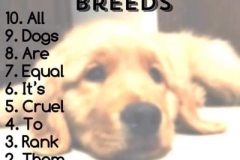 61324401_688171474936965_2107082767547236352_n