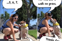 66990516_724859451268167_1981460351438290944_n