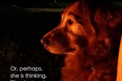 67287103_2103938306377548_5940935945082634240_n