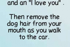 67401997_730885023998943_5834312991117410304_n