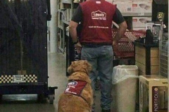 67823165_740248659729246_1221808815779872768_n