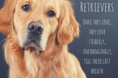 69092799_744332009320911_1998249116605349888_n