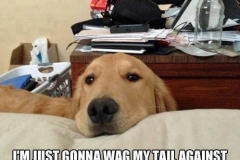 69274935_2493854844023901_7853659760174825472_n