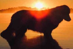 69346664_10156851418527545_5067585260615630848_n