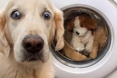 69352626_2665064376848745_1266498027804164096_n