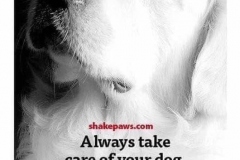 69456249_752989168455195_3525486186518806528_n