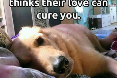 70588818_682761302203766_7194528008479178752_n