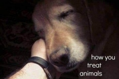 70986098_771044096649702_1758198687147753472_n