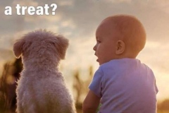 71709967_762950494125729_4017994802225217536_n