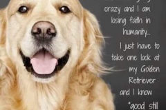 72044952_2364832063835318_6084003380181598208_n