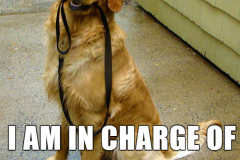 86740a1670d2a6943460c482db5f4040