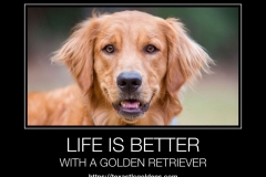 Life-is-better-with-a-Golden-Retriever