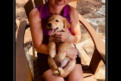 Texas-TLC-Golden-Retriever-Puppy-meme-1