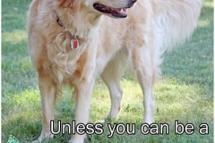 always-be-yourself-meme-569x854