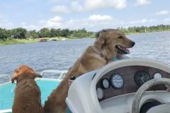 Harley-River-first-boat-ride-e1523474534601