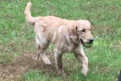 harley-doing-what-she-loves