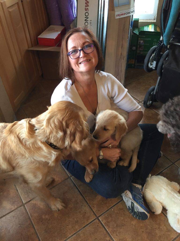 Golden Retriever