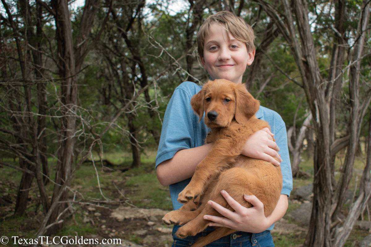 New Puppy Advice